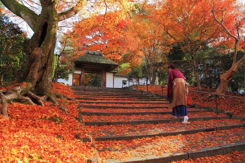 Kyoto Royal Hotel & Spa Luaran gambar